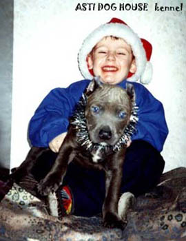 Vladik with pupp from our kennel