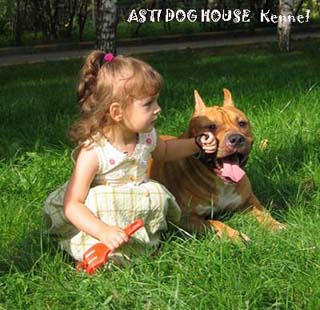 Kristina and Asti Dog House Ulman Rivs